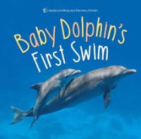 Image of Baby Dolphin's First Swim