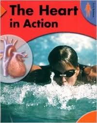 Image of Body Science: The Heart in Action