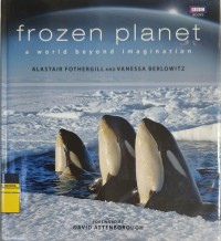 Image of Frozen Planet