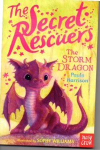 Image of The Secret Rescuer: The Storm Dragon