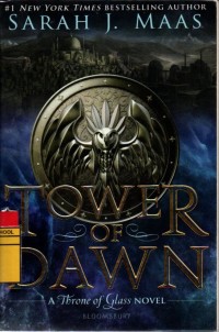Image of Tower of Dawn